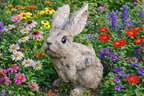Bunny - Wood Effect