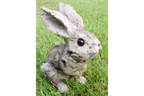 Bunny - Wood Effect