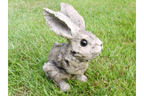 Bunny - Wood Effect