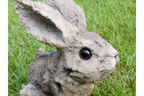 Bunny - Wood Effect