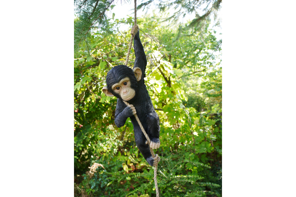 Climbing Monkey