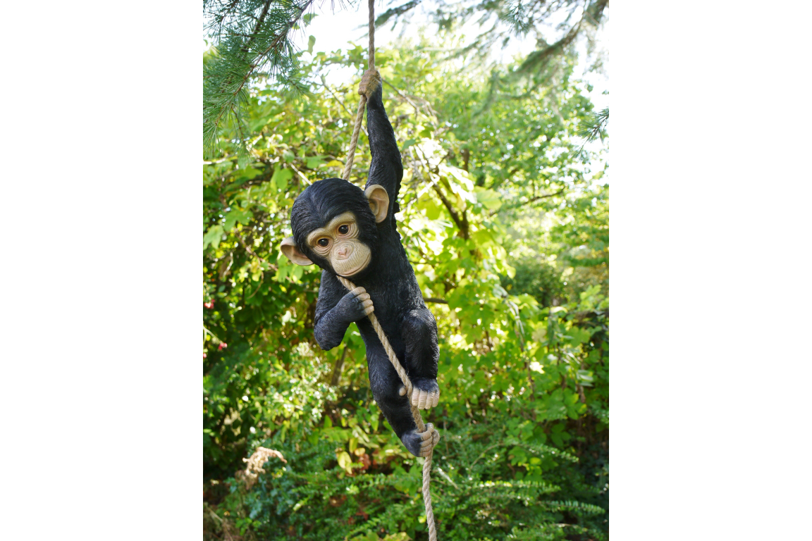 Climbing Monkey