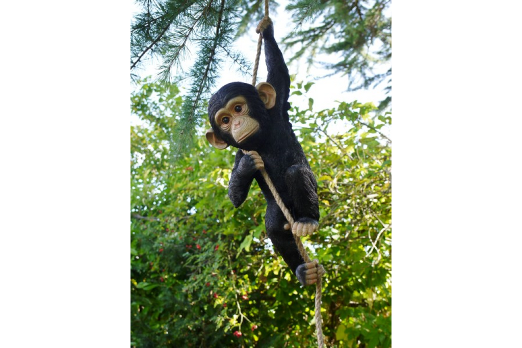 Climbing Monkey