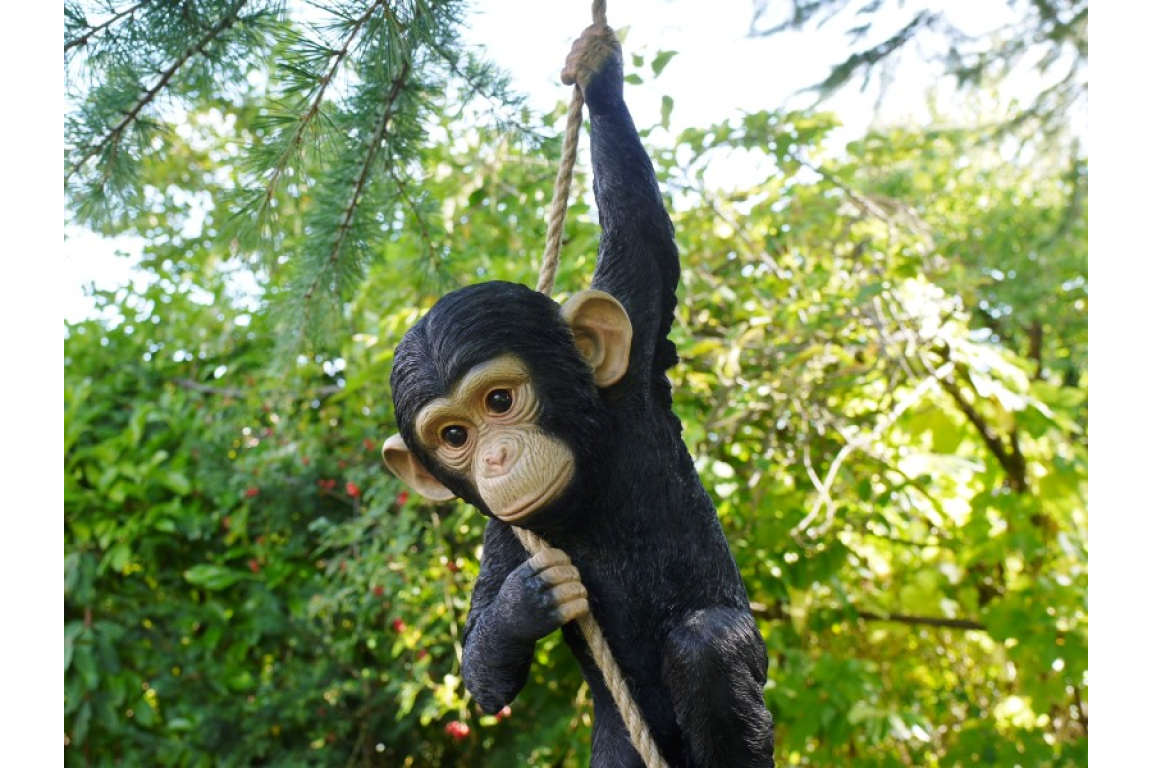 Climbing Monkey