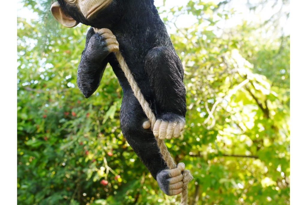 Climbing Monkey
