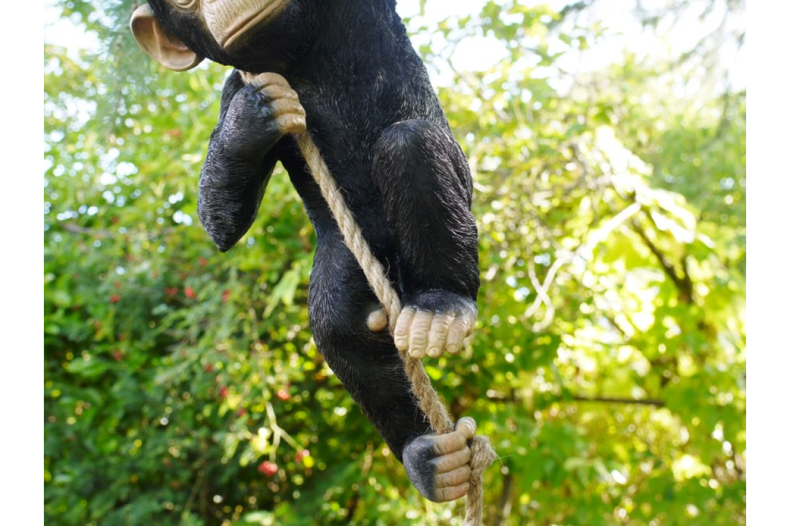 Climbing Monkey