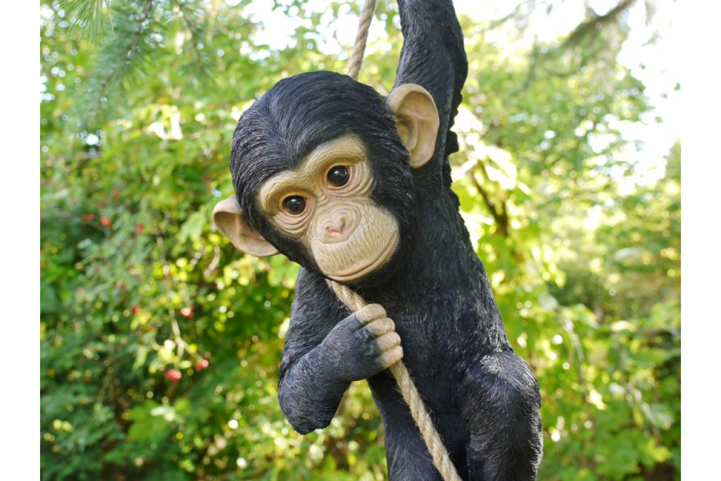 Climbing Monkey