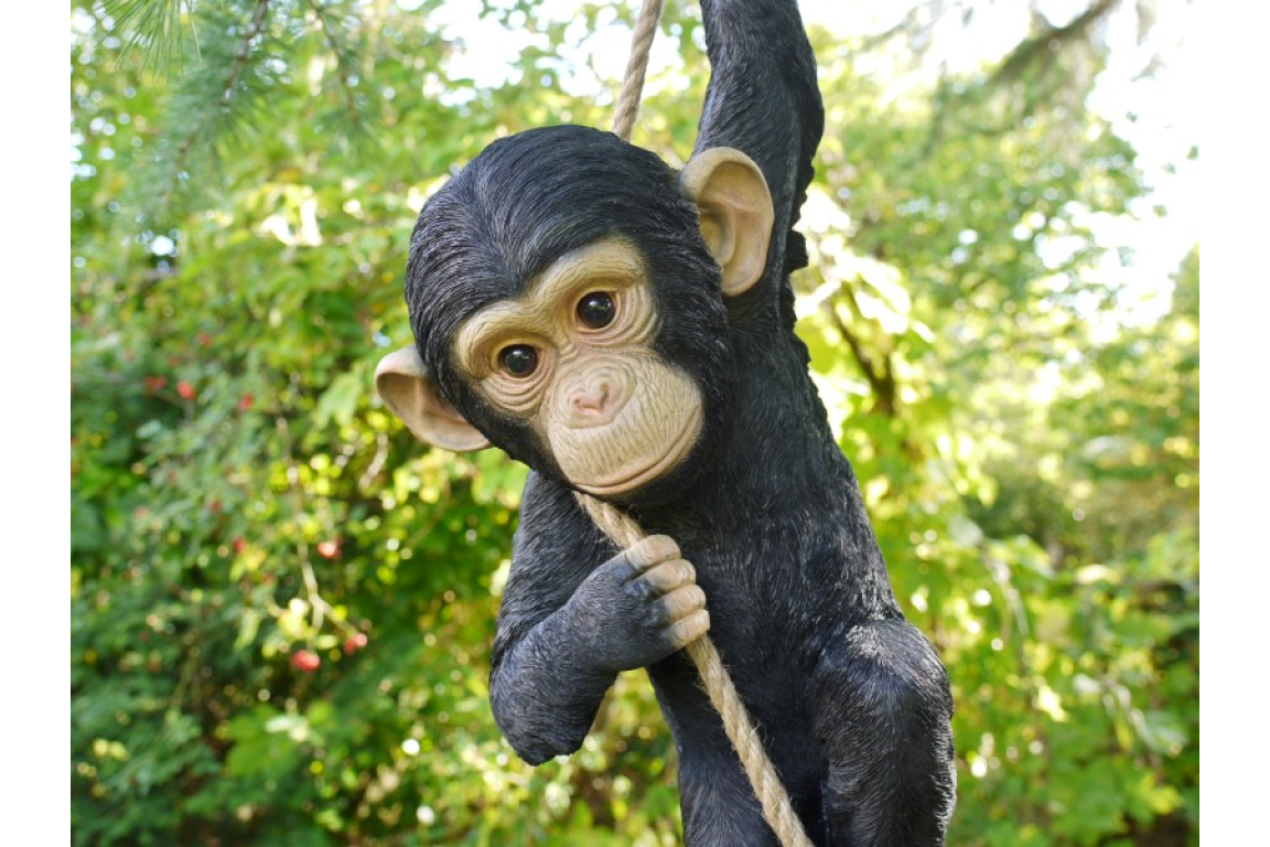Climbing Monkey