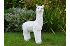 Llama (White)