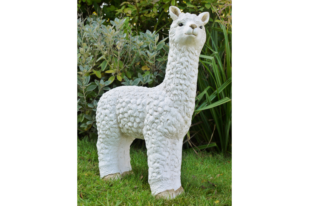 Llama (White)