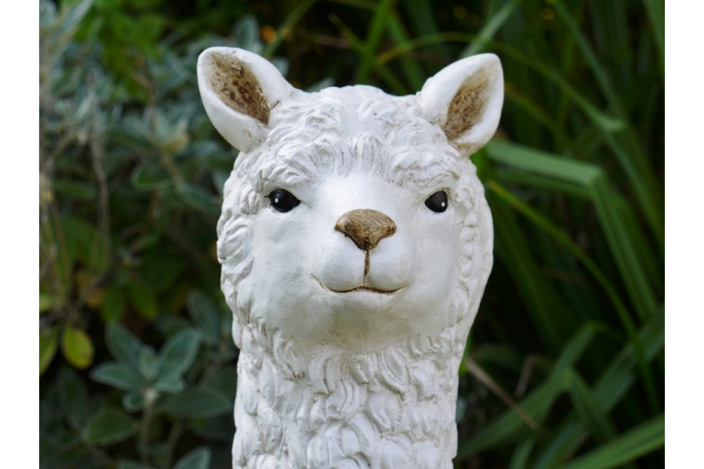Llama (White)