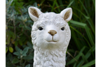 Llama (White)