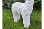 Llama (White)