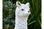 Llama (White)