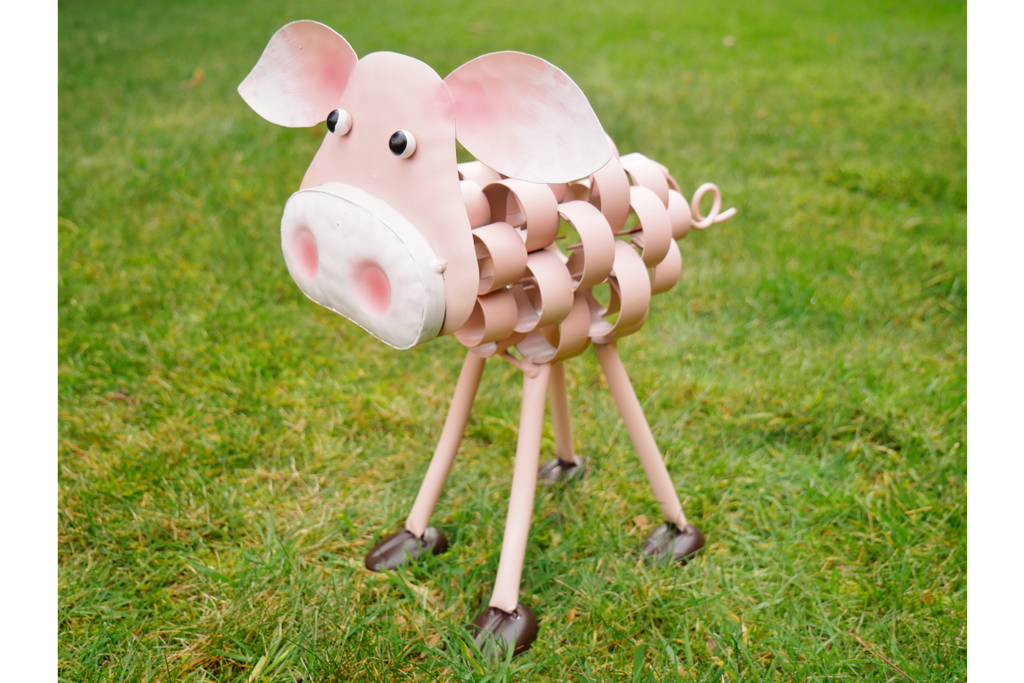 Pig