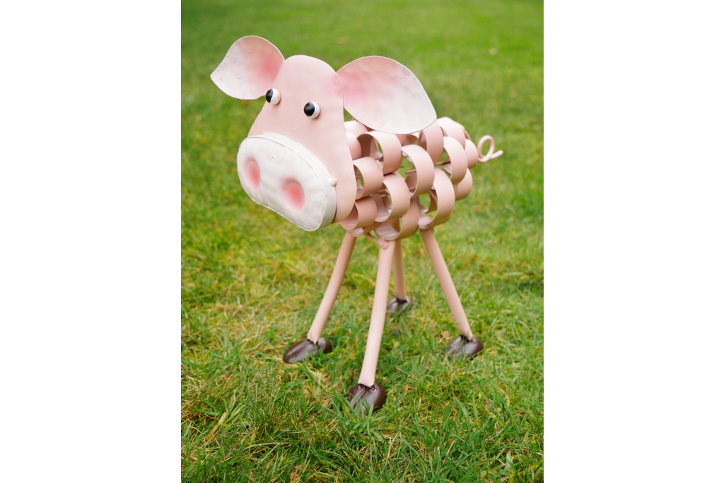 Pig