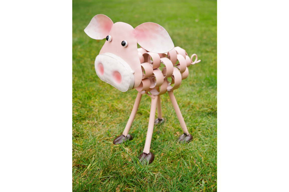 Pig