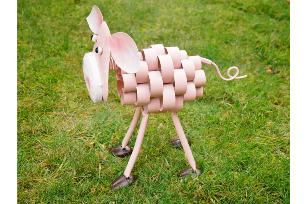 Pig