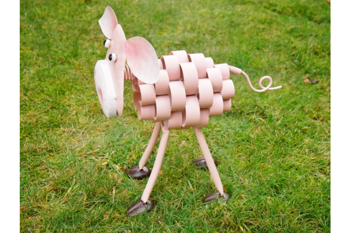 Pig