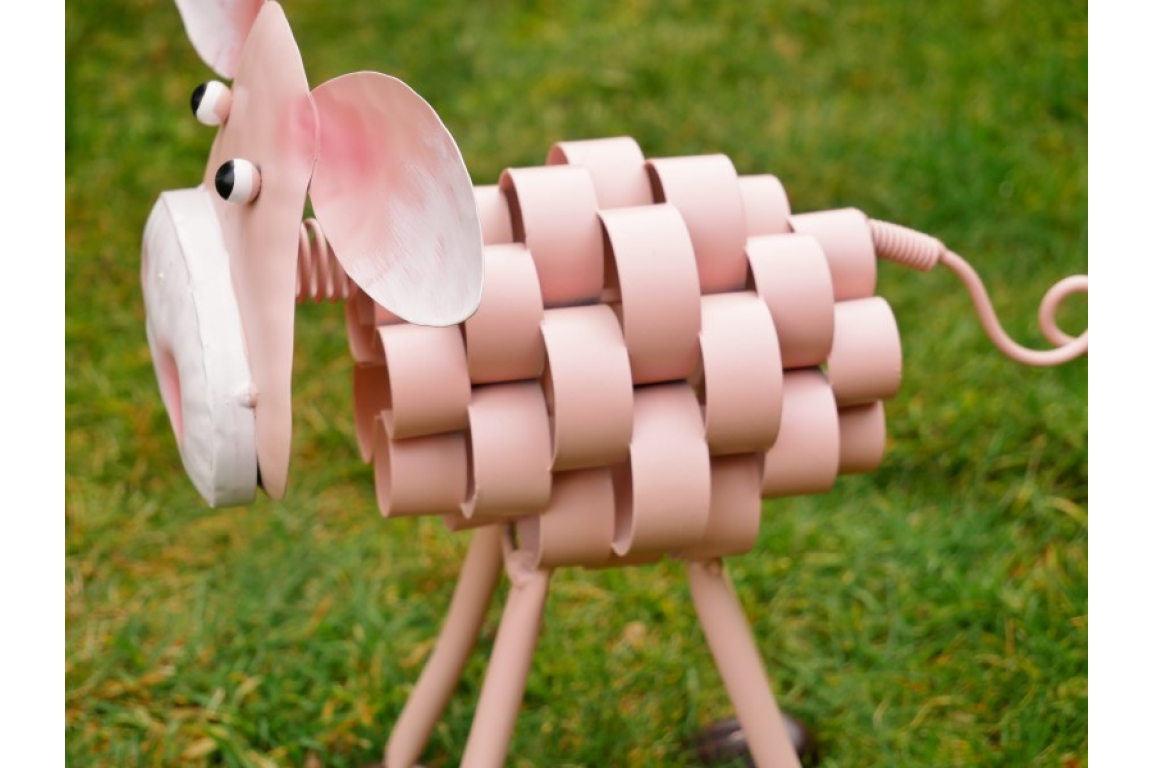 Pig