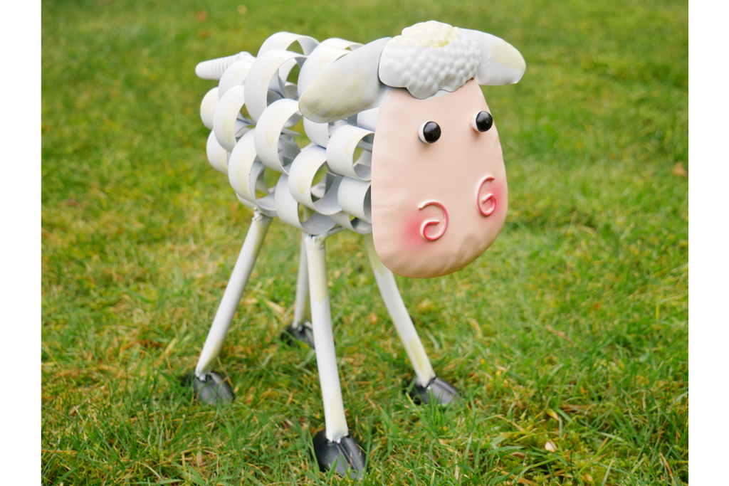 Sheep