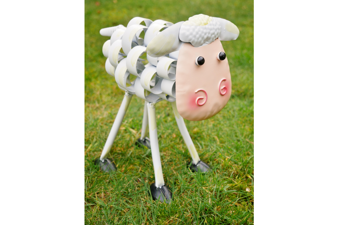 Sheep