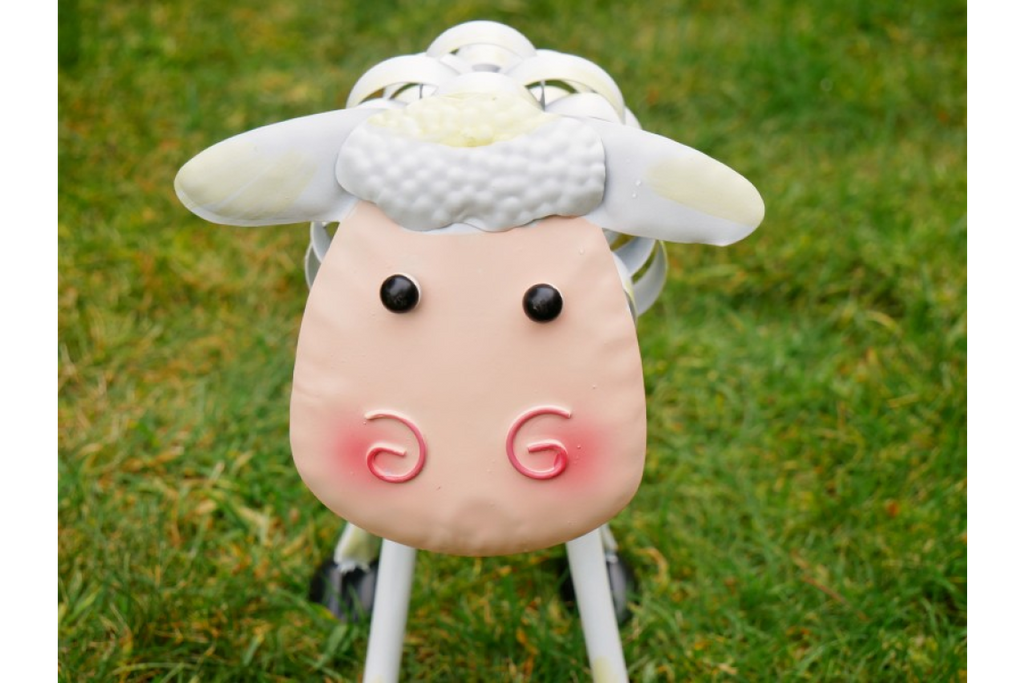 Sheep