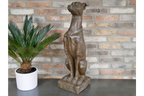 Sitting Dog