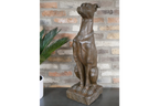 Sitting Dog