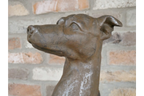 Sitting Dog