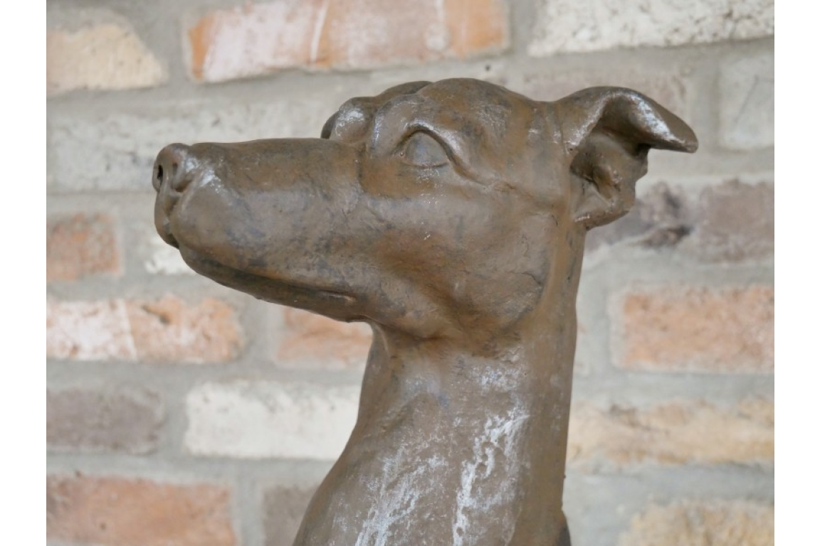 Sitting Dog