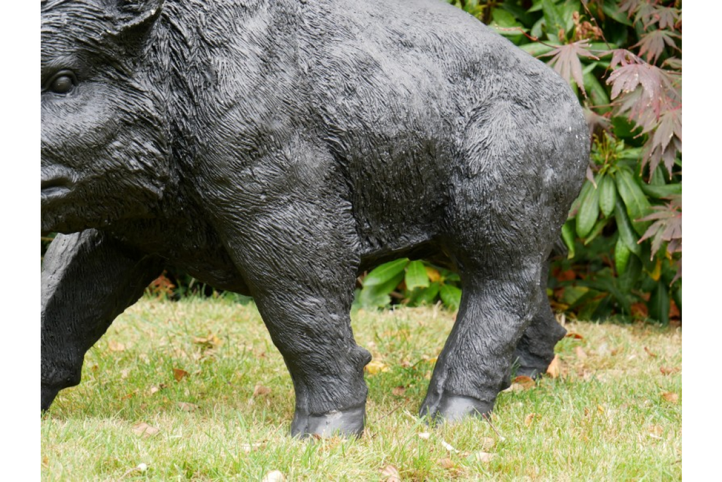 Large Boar