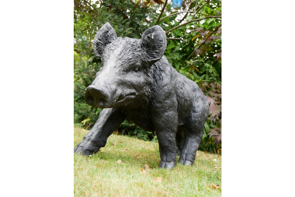Large Boar