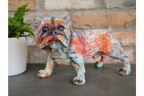 Bulldog