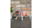 Bulldog