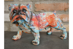 Bulldog