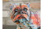 Bulldog