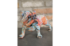 Bulldog