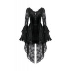 Dark in Love Classic Gothic Velvet & Lace Embroidered Dress