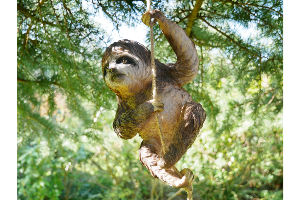 Climbing Sloth