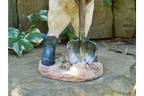 Pig With Spade
