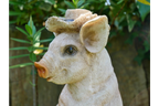 Pig With Spade