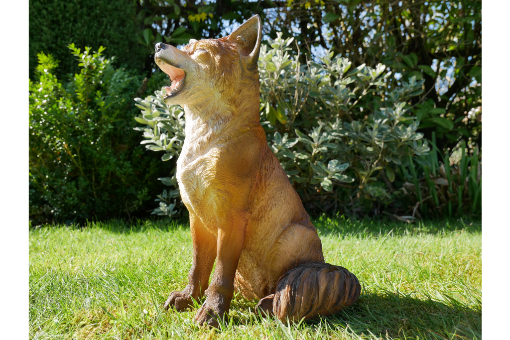 Fox