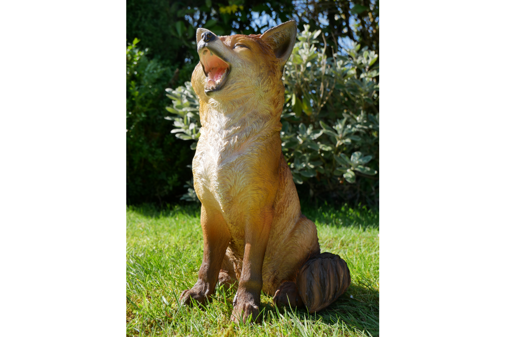 Fox