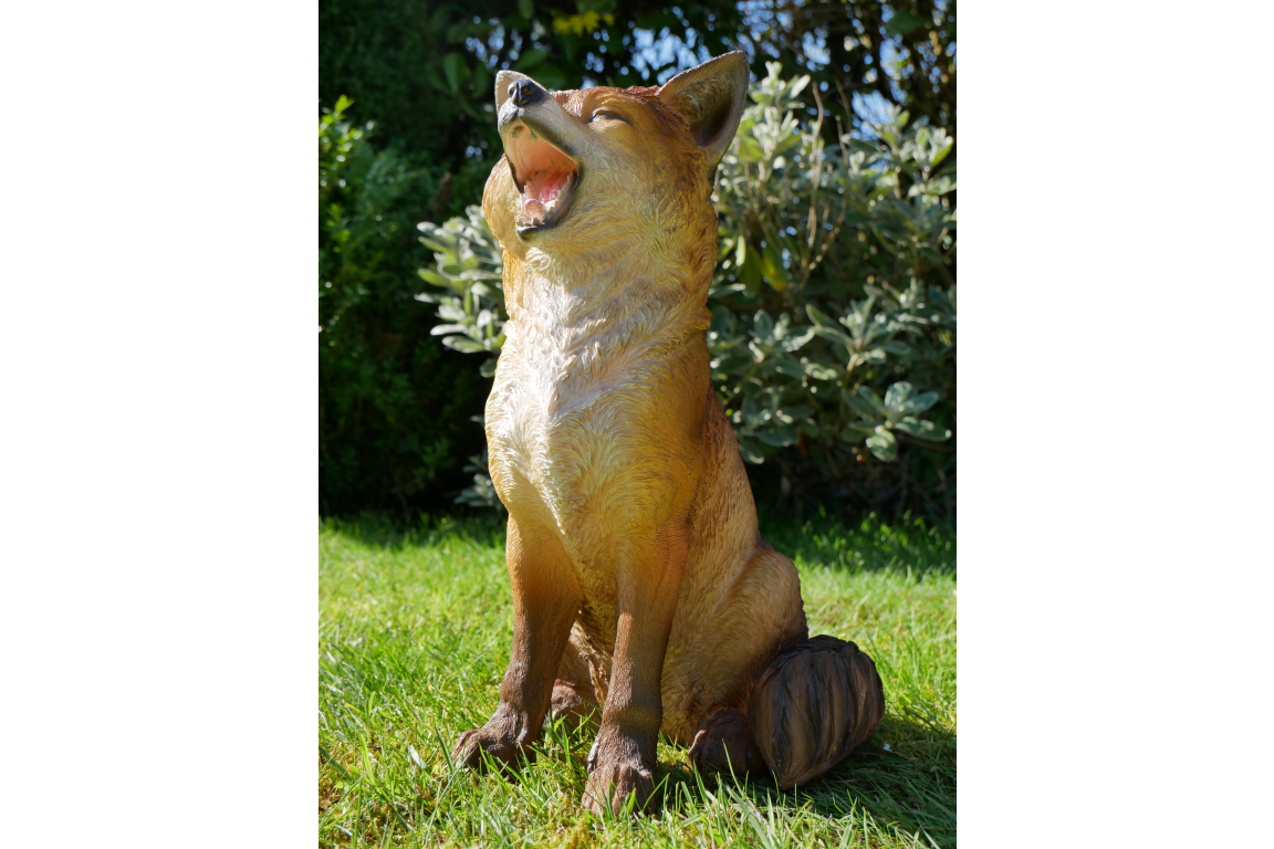 Fox