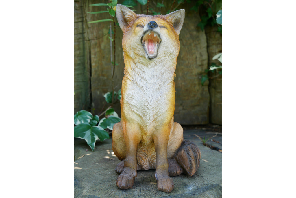Fox