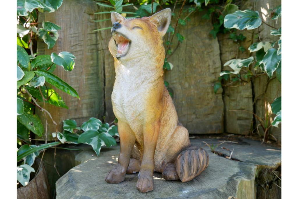 Fox