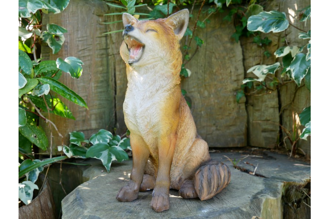 Fox