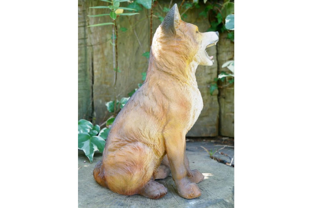 Fox
