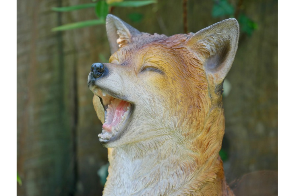 Fox